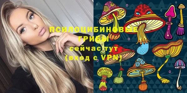 соль ск Алзамай