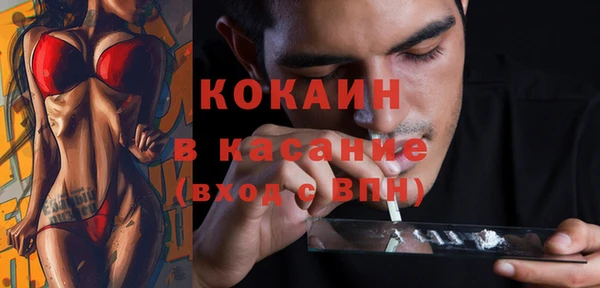 соль ск Алзамай
