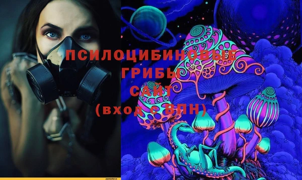соль ск Алексин