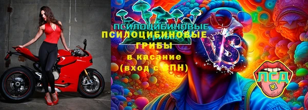 соль ск Алексин