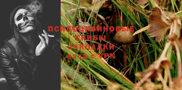 прущий лед Алексеевка