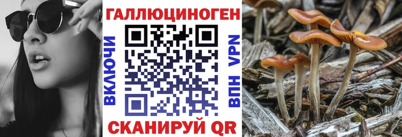 Галлюциногенные грибы мухоморы  купить наркоту  mega ССЫЛКА  Катав-Ивановск 